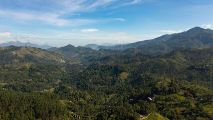 Fototapeta na wymiar Top view of Agricultural lands and tea estates among the hills in the mountains.. Ella, Sri Lanka.