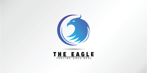 Bird Falcon And Circle Frame Logo Design, Eagle Or Hawk Badge Emblem Vector Icon