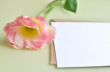 Fototapeta premium A branch of eustoma flower and a letter lies on the table