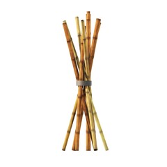 decorative flowers and plants for the interior,  isolated on white background, 3D illustration, cg render
