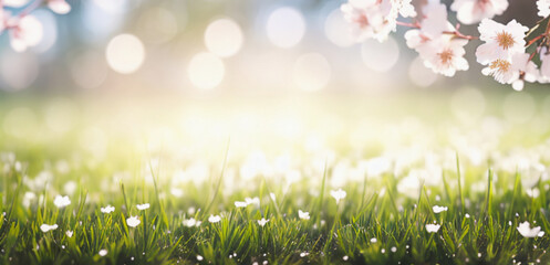 A fresh spring meadows sky background with blurred warm sunny glow.