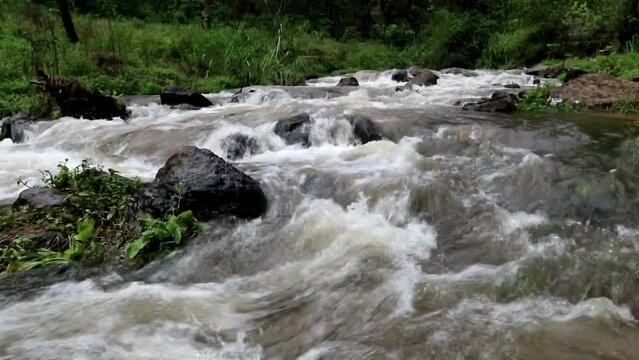 Strong river stream with rocks in a green tropical jungle environment. Overflow of river due to flooding. Climate change