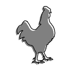 Linear filled with gray color icon. Domestic Rooster Male In Fighting Stance. Farm Bird. Simple black and white vector Isolated On white background