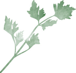 Watercolor leaf branch