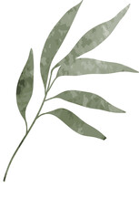 Watercolor leaf branch