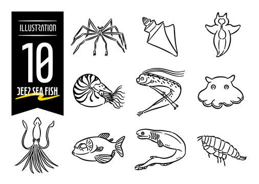 Set of 10 hand-drawn pop-style icon illustrations with deep sea fish motifs