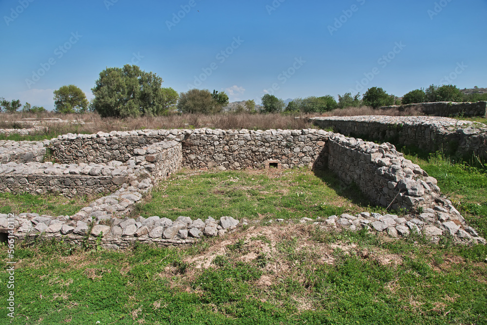 Wall mural Taxila, Sirkap ruins of fortified city, Pakistan