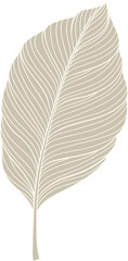 Botanical foliage line art