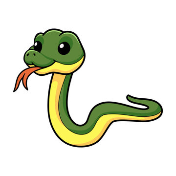 Cute easten racer snake cartoon
