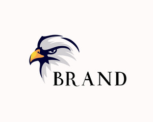 Obraz premium eagle falcon hawk face view stare drawn art logo design template illustration