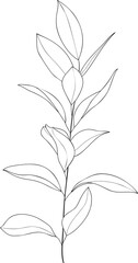 Hand drawn botanical leaf branch line art