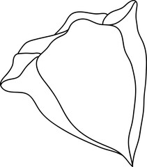 Hand drawn flower line art