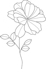 Hand drawn flower line art