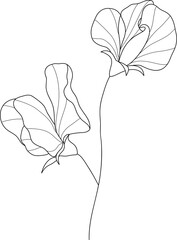 Hand drawn flower line art