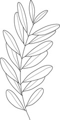 Hand drawn leaf branch line art