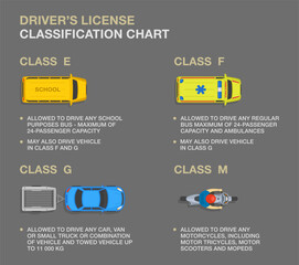 Car driving tips and rules. Types of driving licences and descriptions. Driver's license classification chart infographic. Flat vector illustration template.