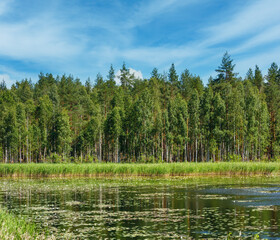 Lake Ruotsalainen summer view with water lilys on surface (near Hevossaari, Finland).