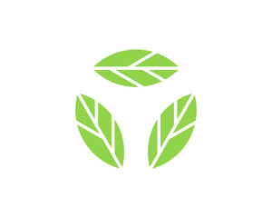Three green leaves vector logo