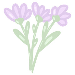 Fototapeta na wymiar Three Purple Flowers illustration on transparent background 