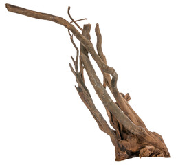 Piece of a root with many thin branches, river wood, driftwood, aquarium design element - isolated...
