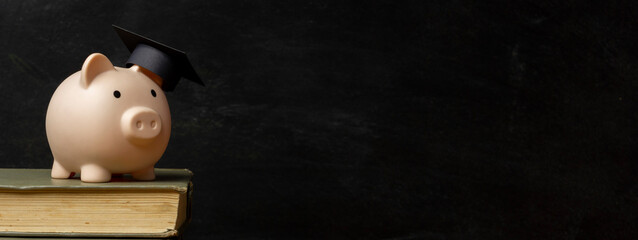 Piggy bank and book. College fees saving concept, copy space for text