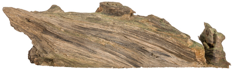 Piece of a root / trunk with many thin branches, river wood, driftwood, aquarium design element - isolated on transparent background - png - image compositing footage - alpha channel 