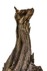 Piece of a root / trunk river wood, driftwood, aquarium design element - isolated on transparent background - png - image compositing footage - alpha channel  - 566151529