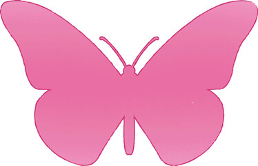 butterfly on white background vector