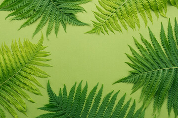 Frame arrangement made of fern leaves on green background