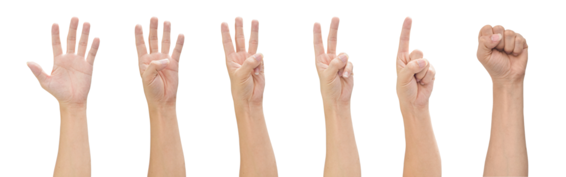 Hand counts from zero to five isolated on transparent background PNG file