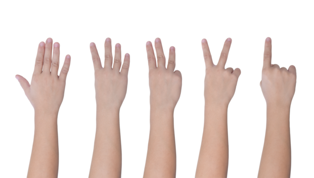 Children hand showing one to five fingers count isolated on transparent background PNG file