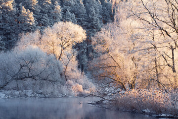 Naklejka na ściany i meble Beautiful landscape of sunrise in spring. The trees and dry grass near river covered hoarfrost. View of forest edge from river.