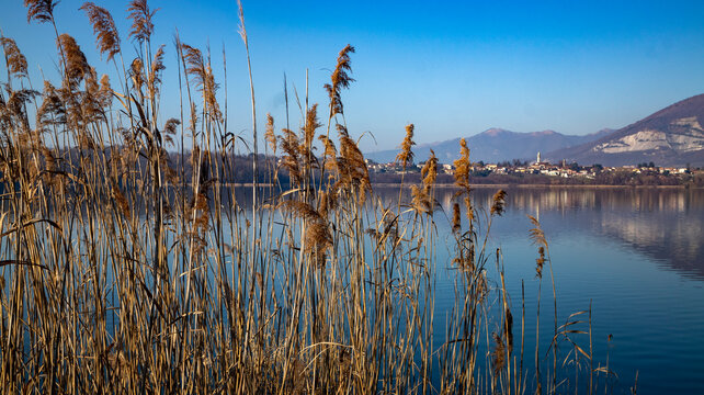 Annone lake, oggiono, lombardy