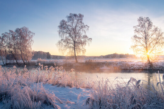 Beautiful landscape of nature in earky spring. Sunrise on river, everything covered snow. Sunbeams illuminate throught branches of tree. Dry grass on the beach river covered with snow. 