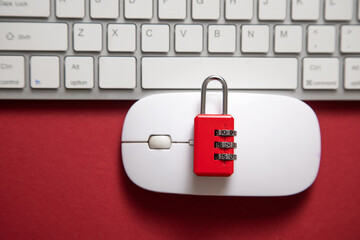 Padlock, mouse and computer keyboard. Security