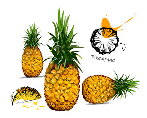 Outlined and color doodle pineapple vector illustration. Pineapple sketch set. Food and drink symbol, hand drawn juicy fruit. Hand drawing style. Retro flat sign 
