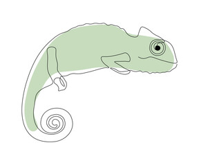 Fototapeta na wymiar chameleon, lizard, iguana, hand-drawn, continuous mono line, one line art, contour drawing