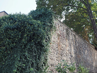 Fototapeta na wymiar Old city wall in Brno