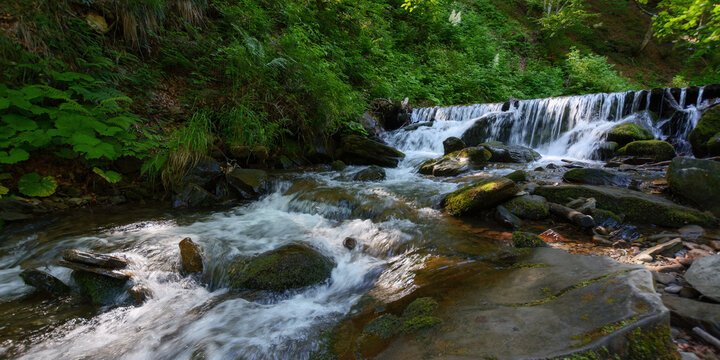 water stream in the forest. scenery with small cascades and mossy rocks. sunny morning in summer