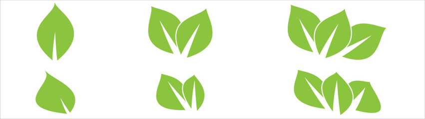 leaf icon set. green leaf icon collections flat on transparent background. vector illustration