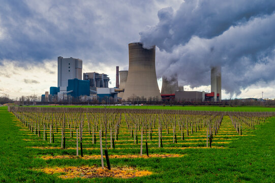 Germany, North Rhine Westphalia, Bergheim, Apple orchard in front of coal-fired power station