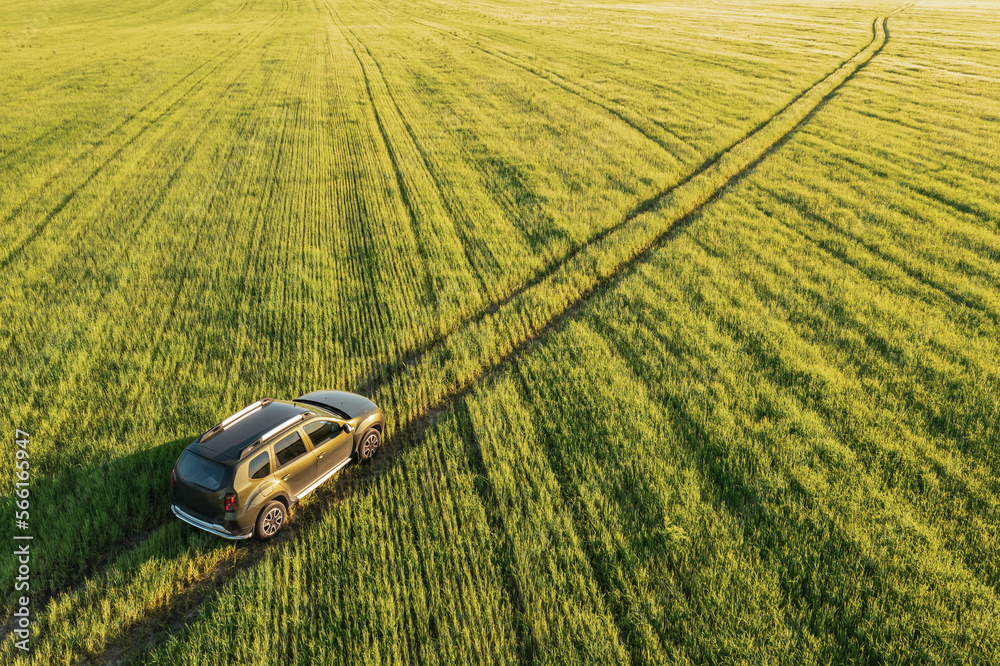 Wall mural aerial view of car suv driving on countryside road in spring field rural landscape. car driving on c