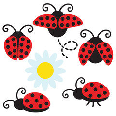 Obraz premium Cute ladybug vector cartoon illustration