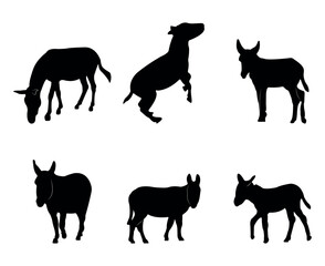 Collection of black silhouettes donkeys