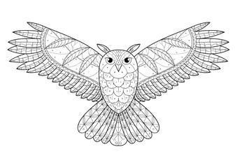 Fototapeta na wymiar Owl coloring book for adults PNG illustration with transparent background