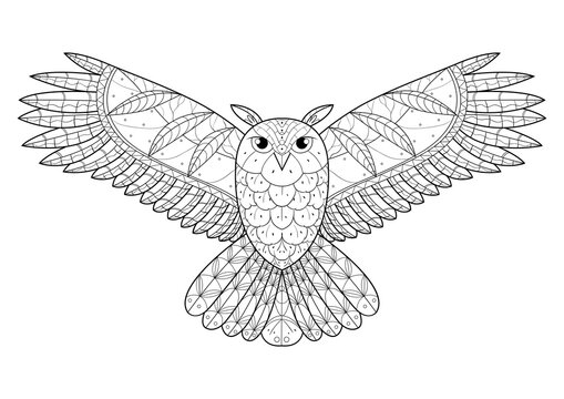 Owl coloring book for adults PNG illustration with transparent background