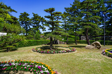 Obraz premium 花いっぱのまちづくり 春の高松城玉藻公園（香川県高松市）