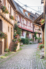 Fototapeta na wymiar Half-timbered houses in Eguisheim, Alsace, France