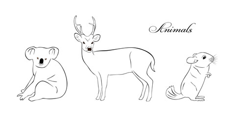 Set of Animals drawing.  collection of Hand drawn animals isolated on white background. Sketch Deer, Koala, Chinchillas. vector illustration 
