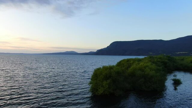Aerial orbit around green shrubs growing in South American lake, Lake Villarrica in Pucon, Chile.